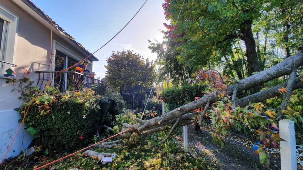 SEM Espaces Verts - Abattage d'un arbre tombé sur une maison à Fontenay Le Fleury (78).png