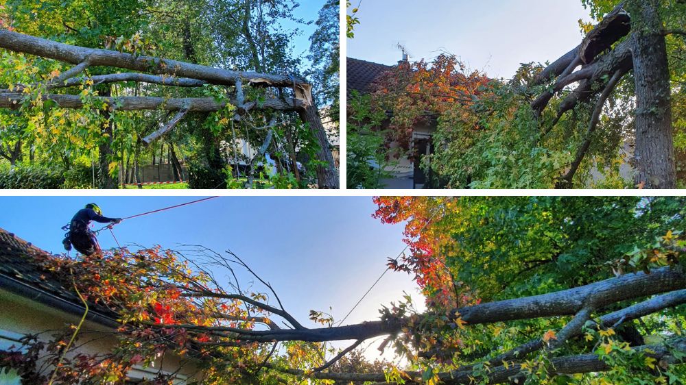 SEM Espaces Verts - Abattage d'un arbre tombé sur une maison à Fontenay Le Fleury (78).png