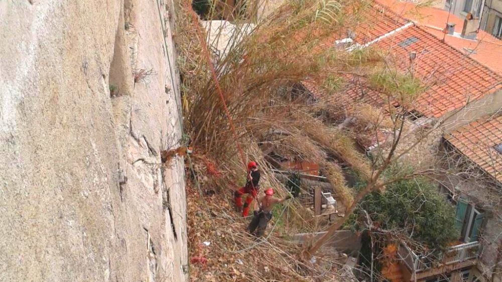 Serpe - Débroussaillage encordé à la canterellette de Béziers.png