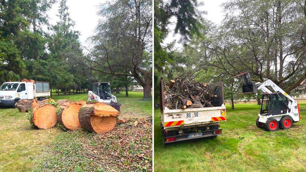 Limoges -Val de Bonnieure - abattage démontage 2021 - 2.png