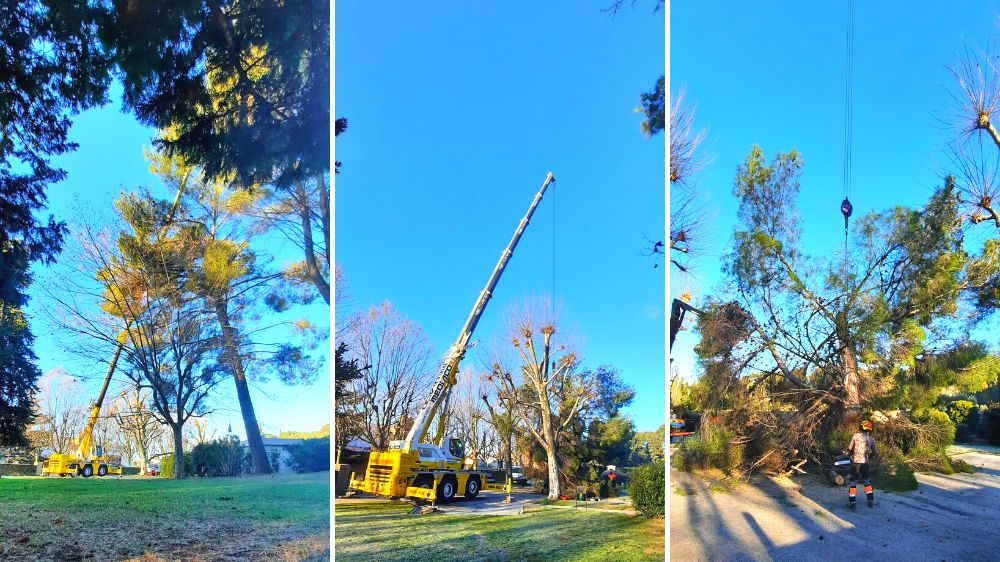 Toulon - Draguignan, démontage pin cimétière américain - 2021 -2.png