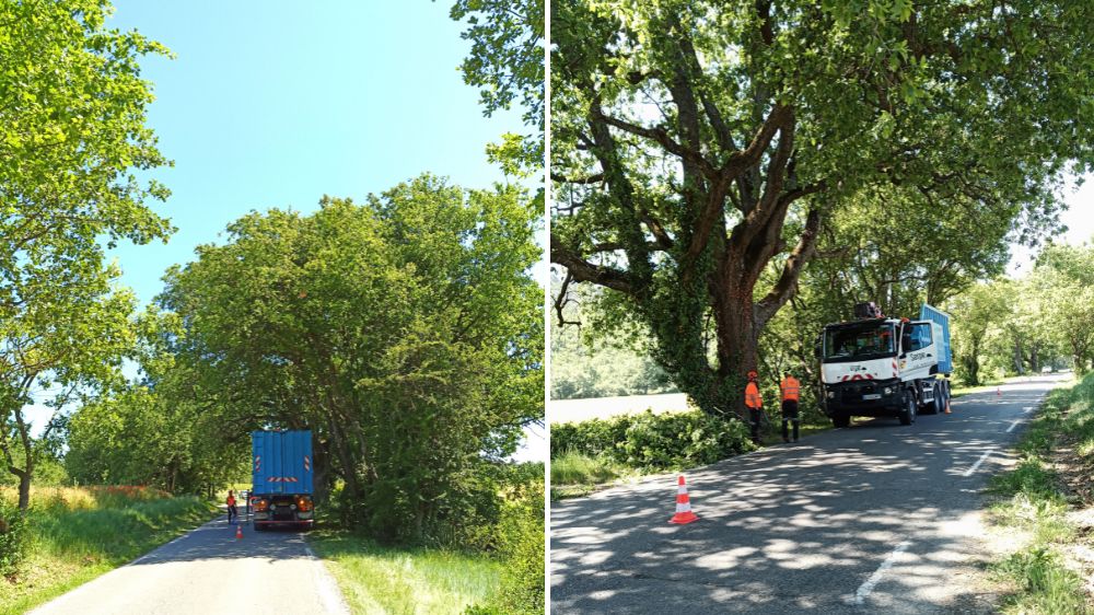 Avignon - Villelaure - Elagage mise au gabarit routier -2.png