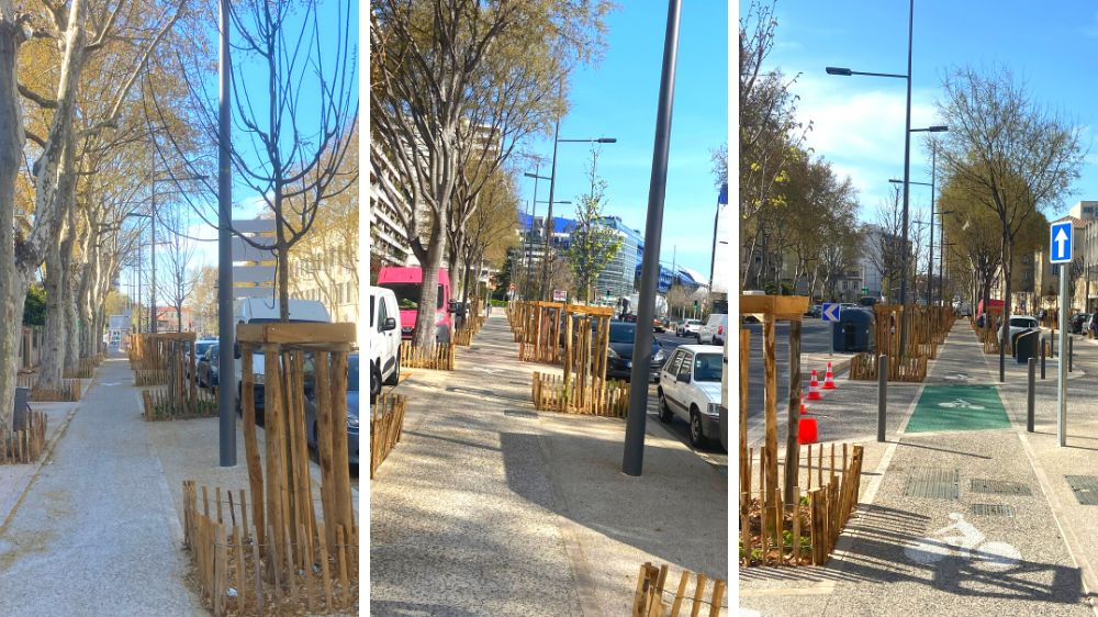 Aix - Marseille - plantation sur rocade  2 .png