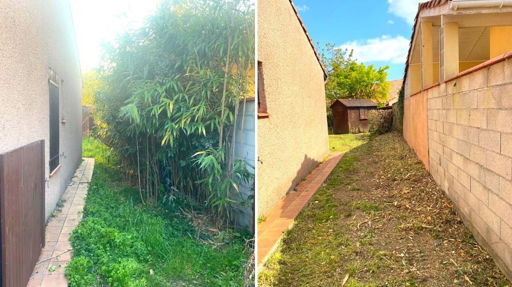 Toulouse - Toulouse - Remise en état d'un jardin tonte, taille, broyage - 2022 (2).png