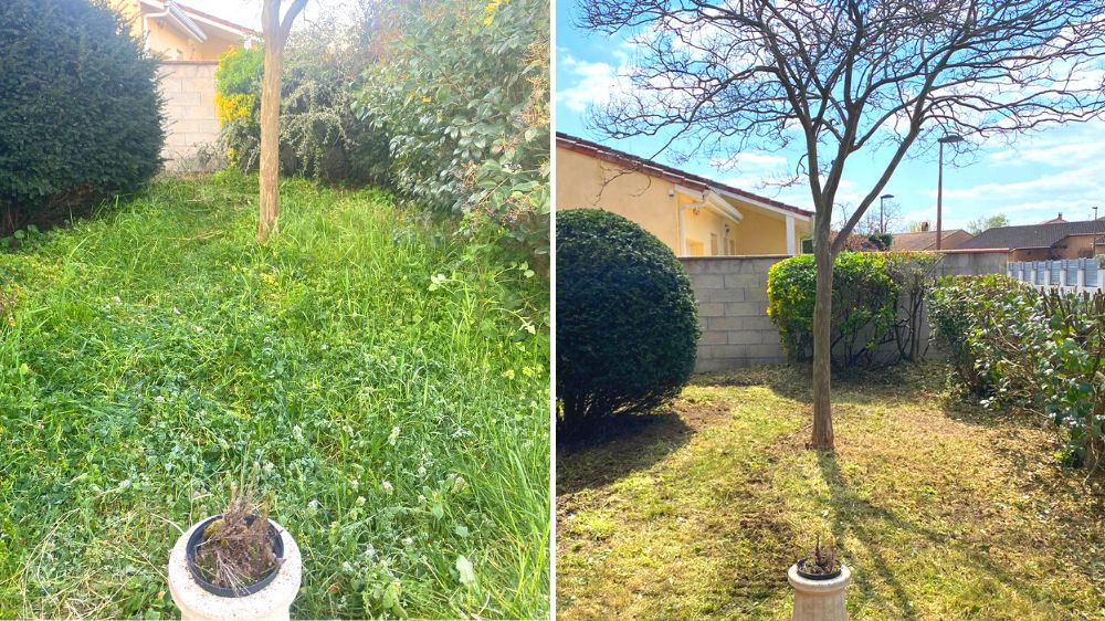 Toulouse - Toulouse - Remise en état d'un jardin tonte, taille, broyage - 2022 (3).png