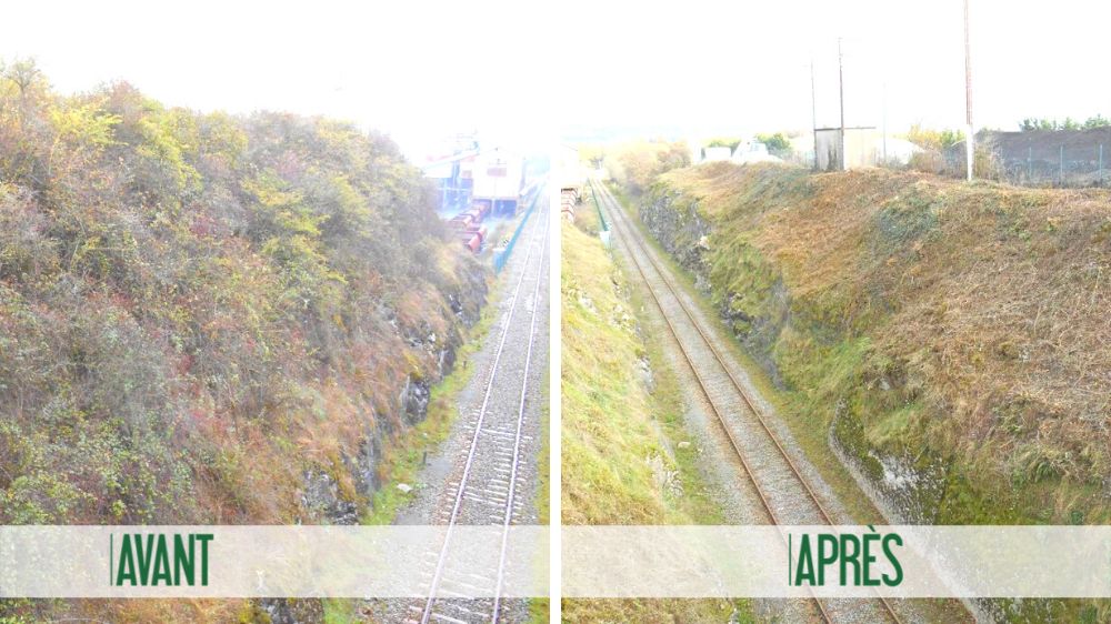 Débroussaillement SNCF après La Meilleraie.png