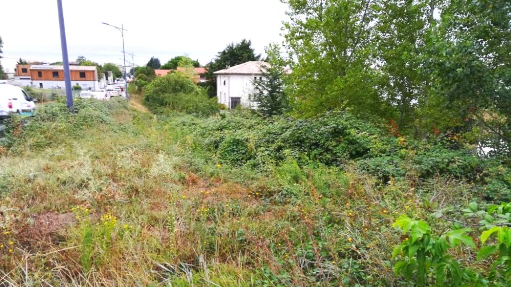 Toulouse, Débroussaillage talus, rue Caunes, AVANT.png