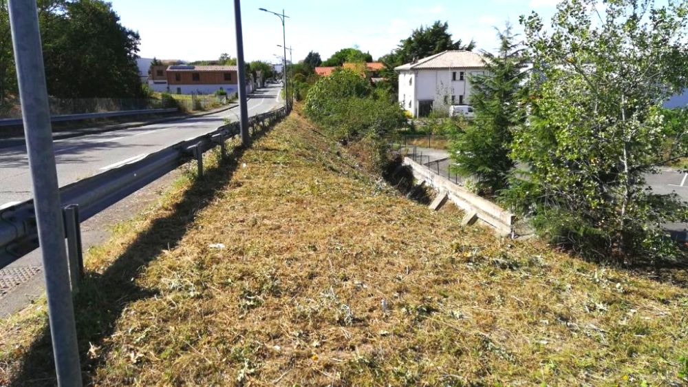 Toulouse, Débroussaillage talus, rue Caunes, APRES.png