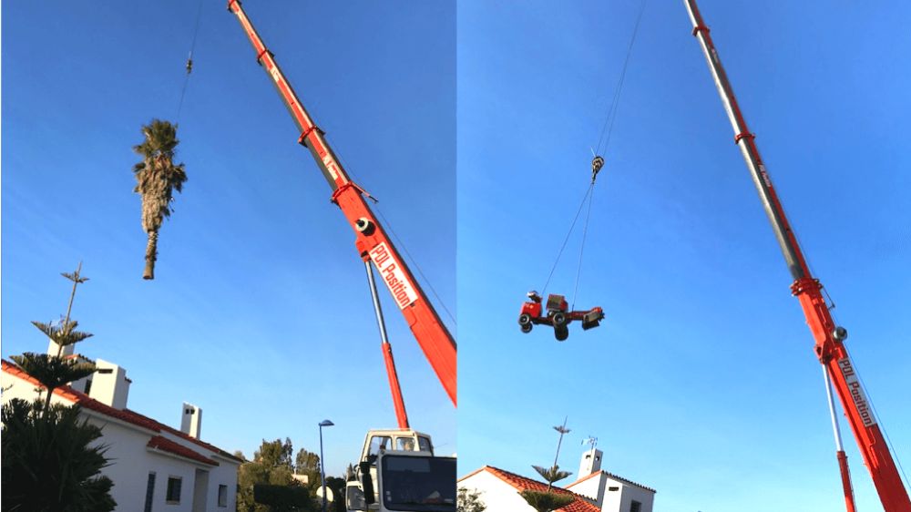 Perpignan, Abattage 2 palmier à la grue, Cabestany.png