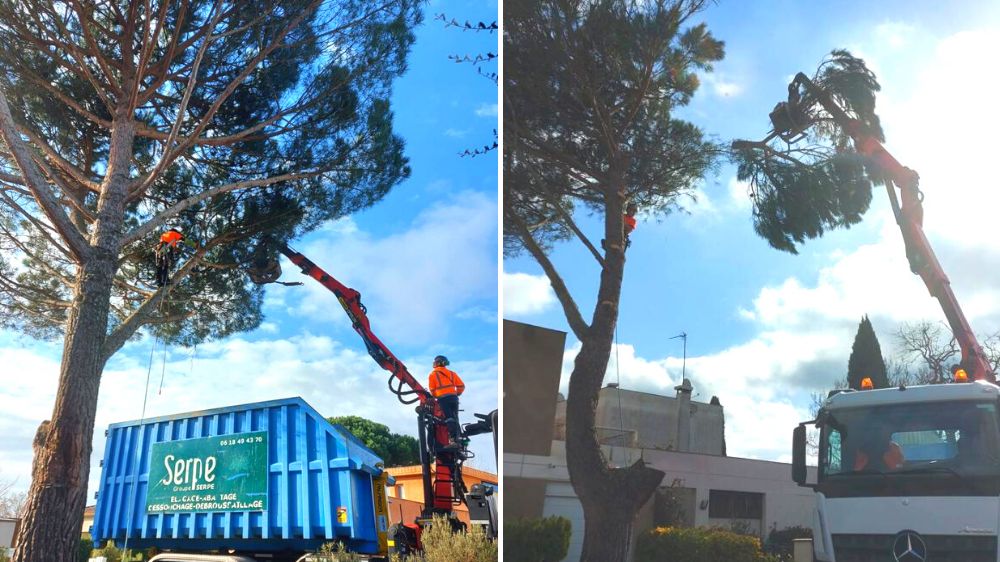 Toulouse - Toulouse - Démontage de deux pins à l'aide d'une grue de levage - 2022 (2).png