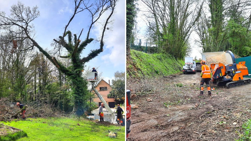 St Lo - St Lô - abattage par démontage 2022 -2.png