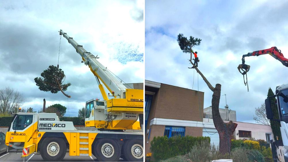 Toulouse - Toulouse - Démontage de deux pins à l'aide d'une grue de levage - 2022 (3).png