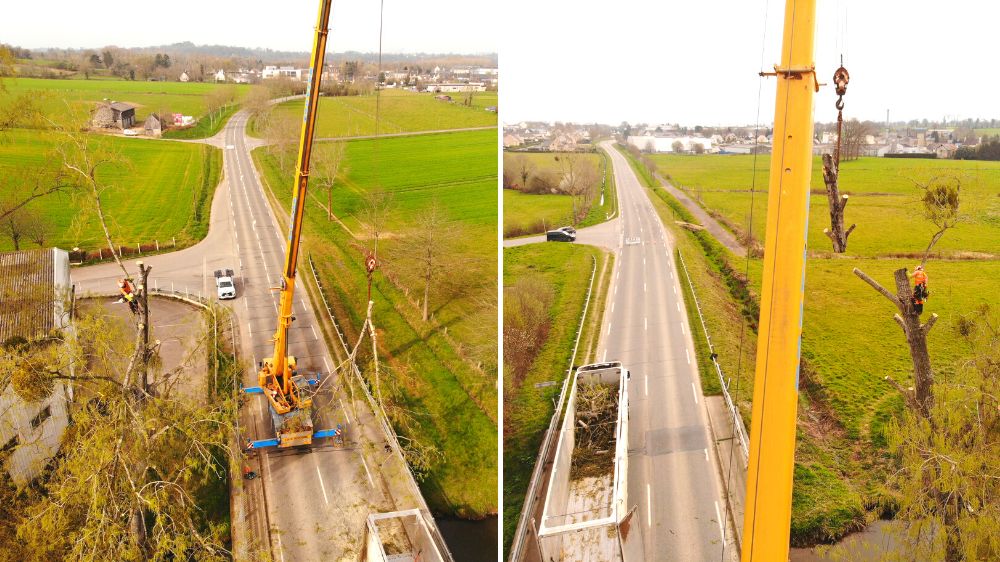 Saint Lô - St Lô - abattage démontage peuplier grande hauteur 2.png