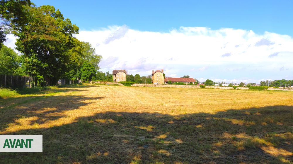 SEM Espaces Verts - Plantation d'une parcelle forestière au Domaine du Château de Versailles - 2022 (2).png