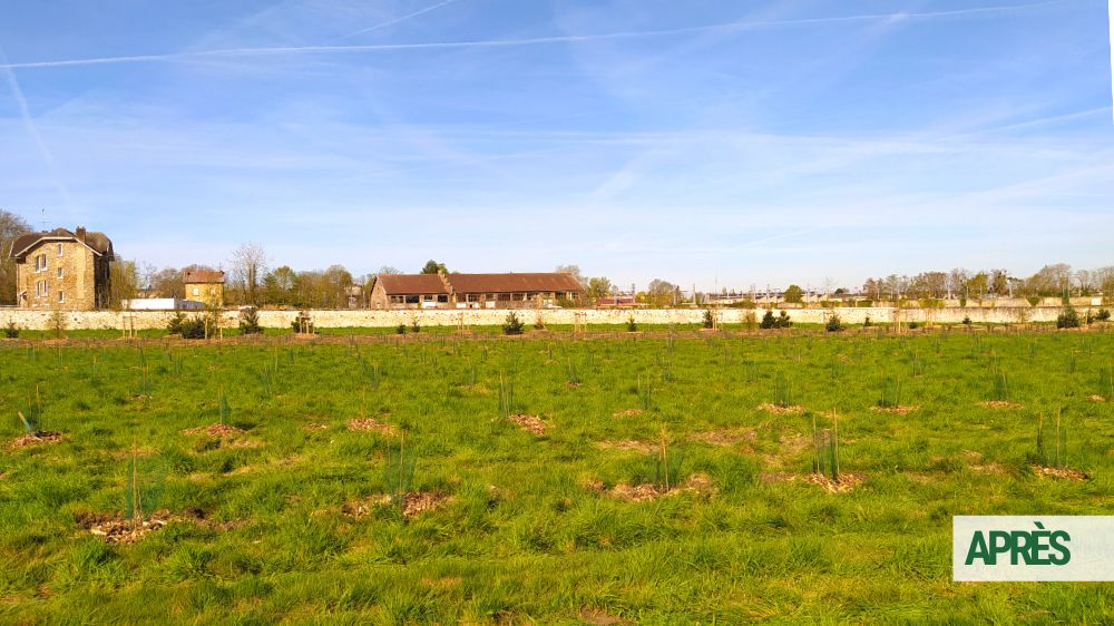 SEM Espaces Verts - Plantation d'une parcelle forestière au Domaine du Château de Versailles - 2022 (3).png