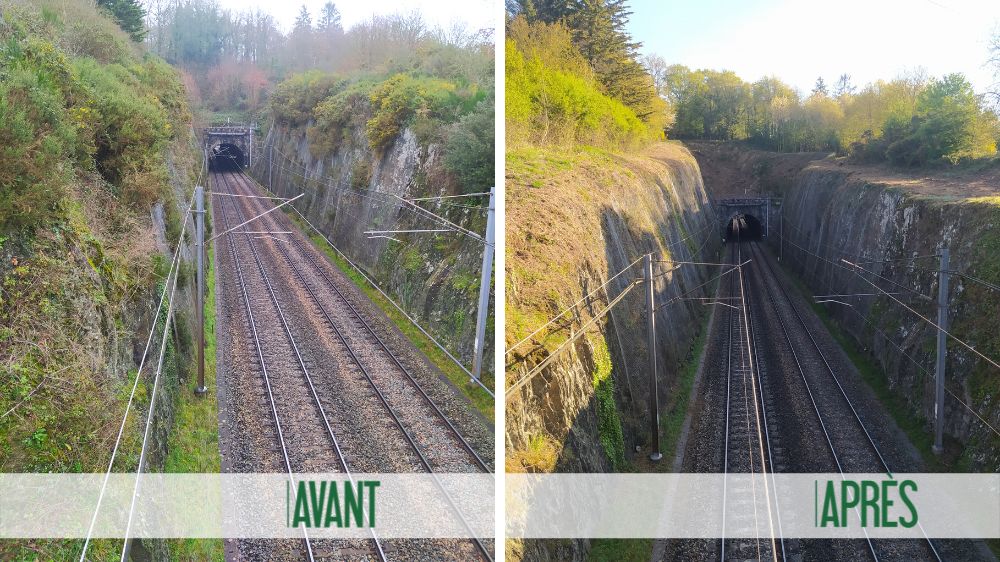 Rennes - Senoux - débroussaillage bord voie ferrée -2022 1.png