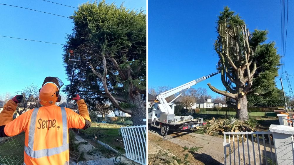 Poitiers - La ville aux dame - abattage par démontage  1.png