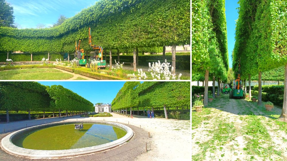 SEM - Versailles - Taille architecturée Château de Versailles - 2022.png