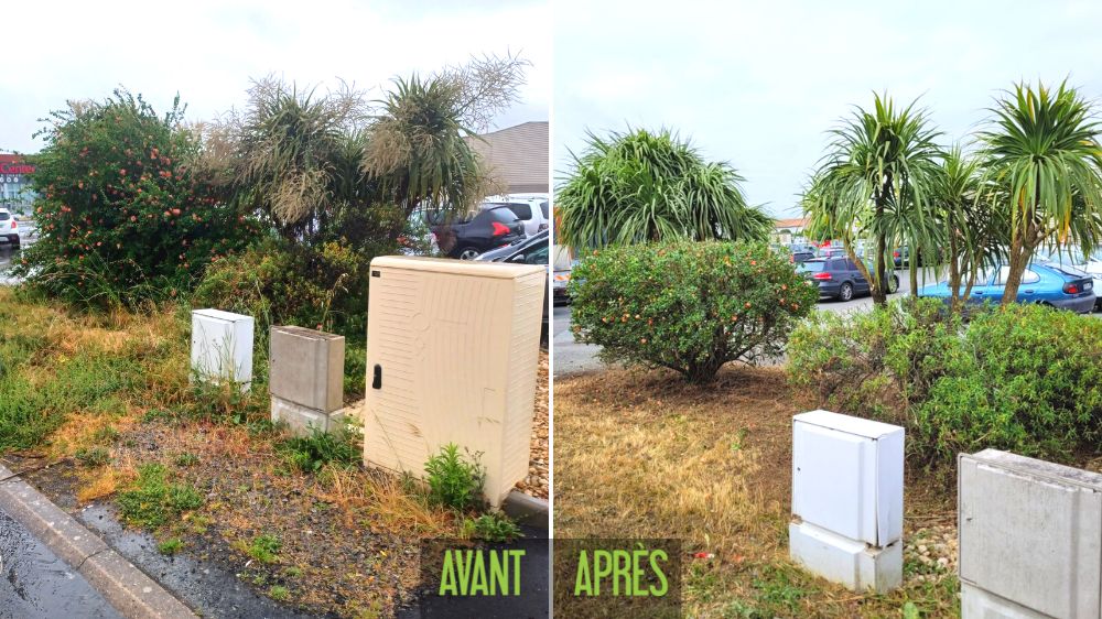 La Roche sur Yon - Fontenay le comte - remise en état plantebande parking gemo - 2022 -2.png