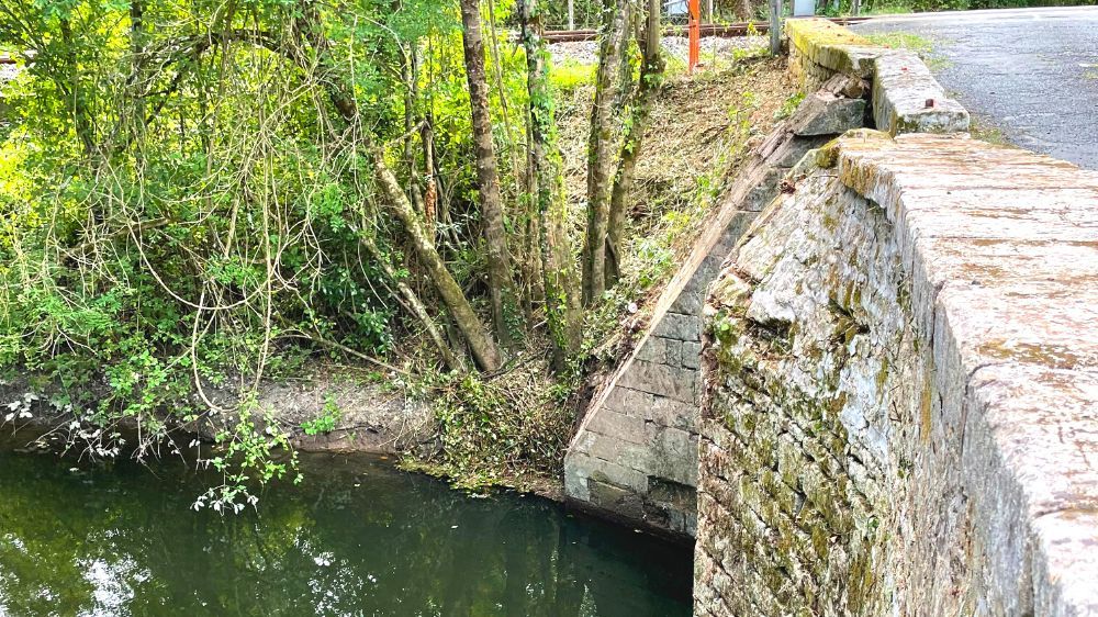 débroussaillage acrobatique à Saint-Savinien-sur-Charente