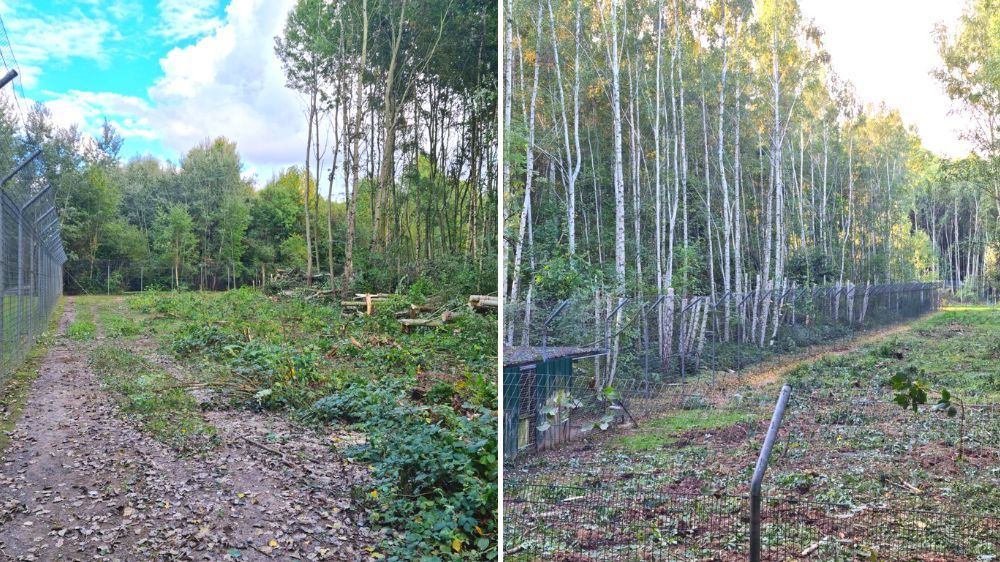 sécurisation des clôtures des parcs zoologiques Nemours