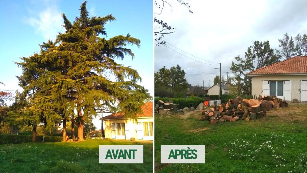 Poitiers - démontage chez un particulier