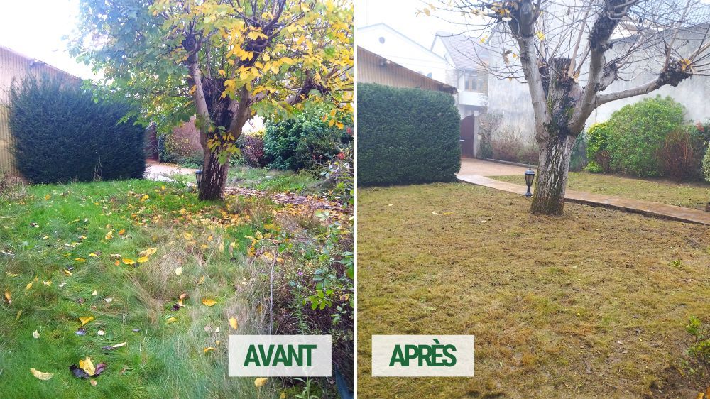 SEM - remise en état d'un jardin urbain