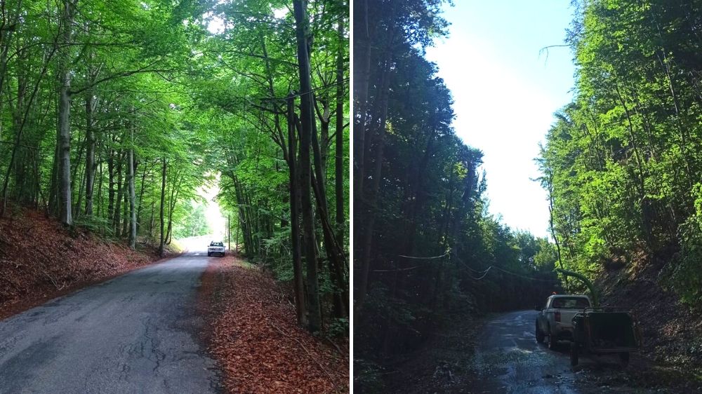 Gap - ouverture d'un layon sur une route de montagne à Savines-le-Lac.jpg