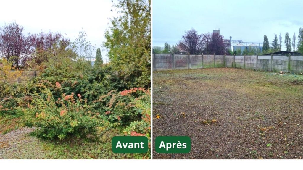 Poitiers - débroussaillage d'un poste à St Varent (79)