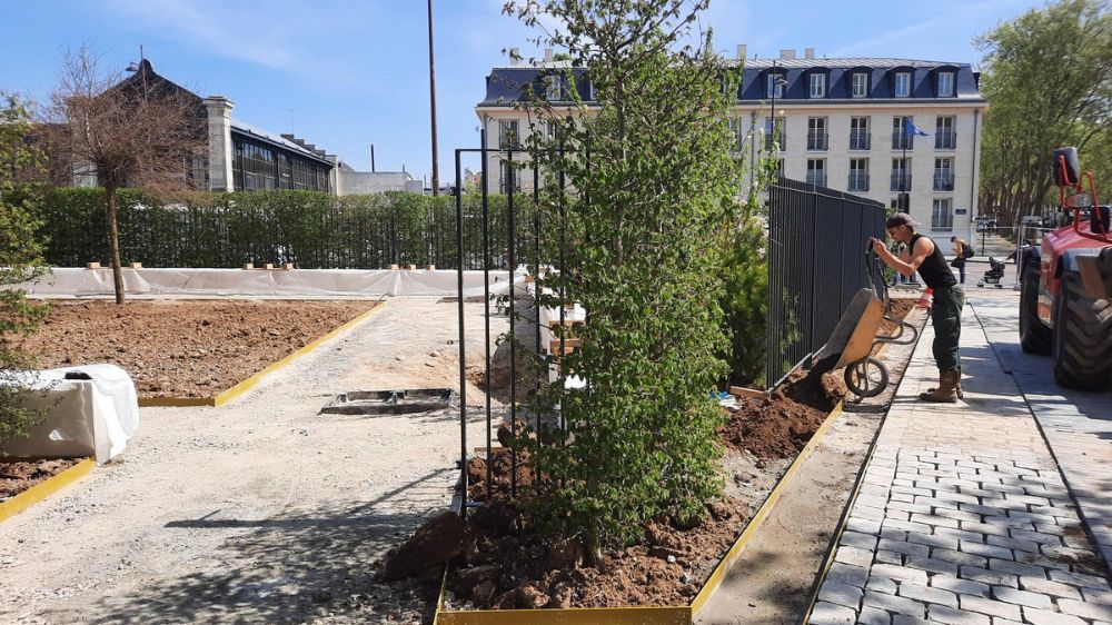 SEM - aménagement de la place Lyautey 2.jpg