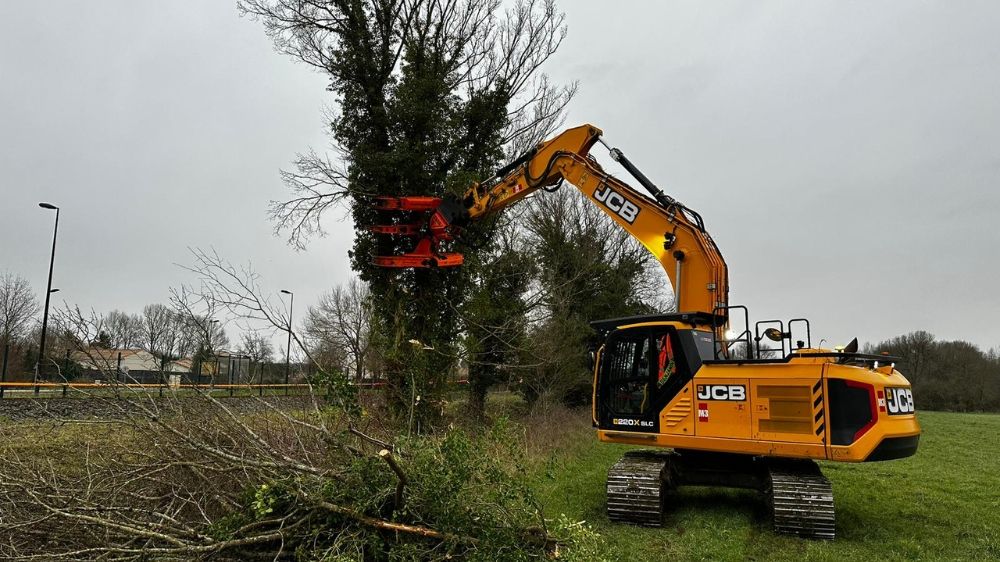 La Rochelle - Abattage des arbres dangereux àSaintes.jpg