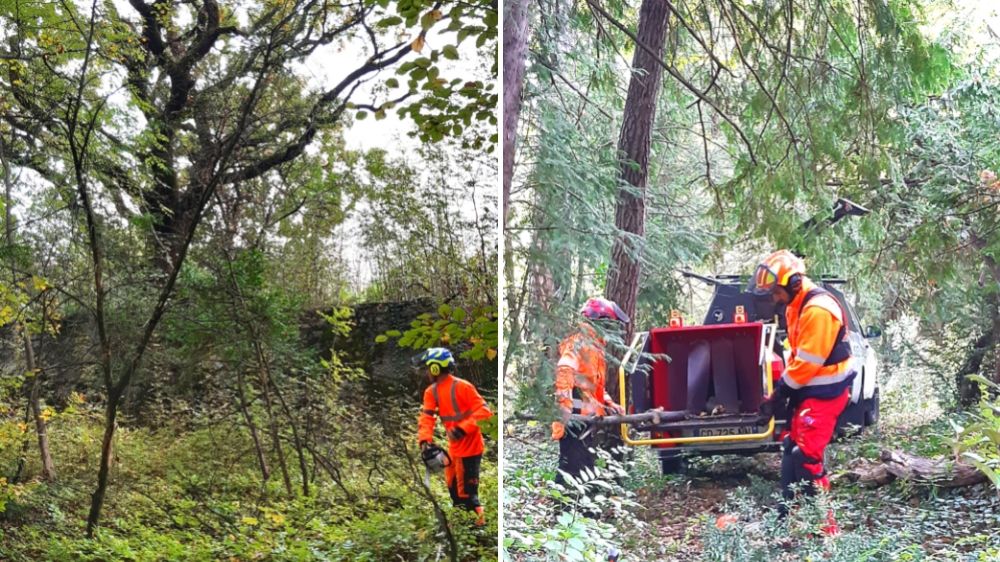 annecy- mise en valeur du patrimoine arboré