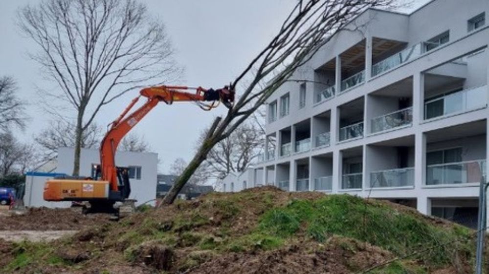 Nantes - Abattage sécuritaire suite à une tempête 3.jpg