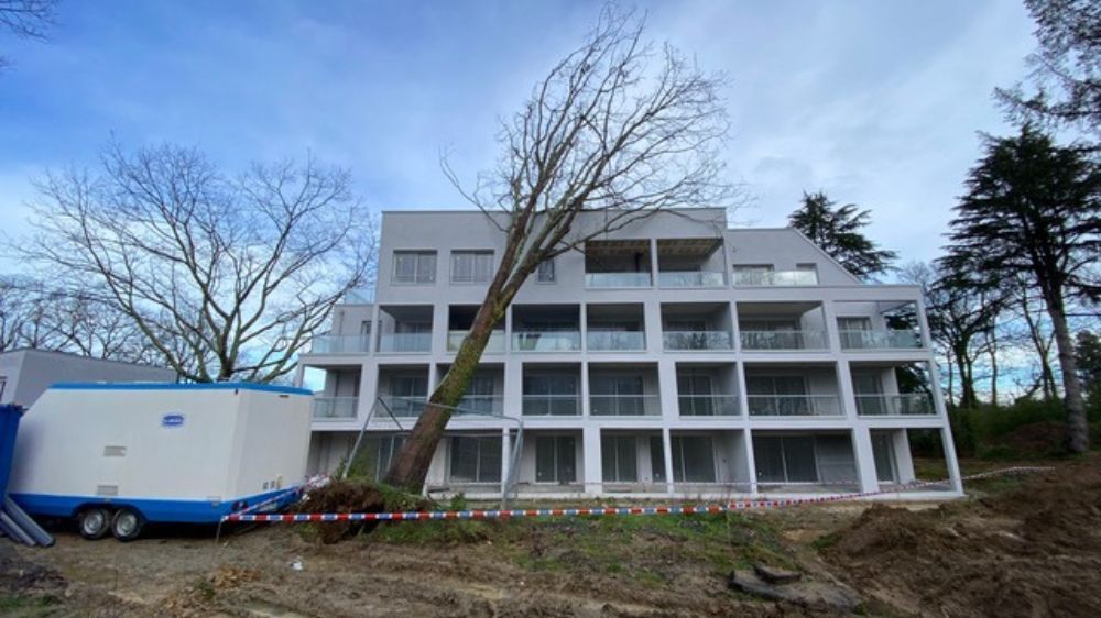 Nantes - Abattage sécuritaire suite à une tempête 2.jpg