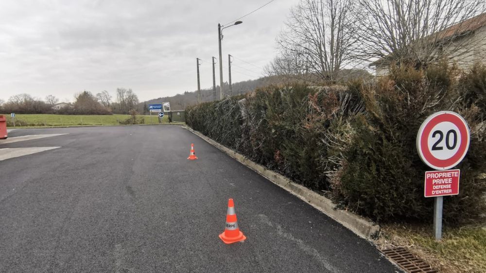 Limoges - abattage de haies et évacuation des rémanents de coupe 4.png