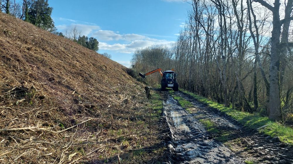 La Rochelle - Débroussaillage mécanique des abords SNCF.jpg