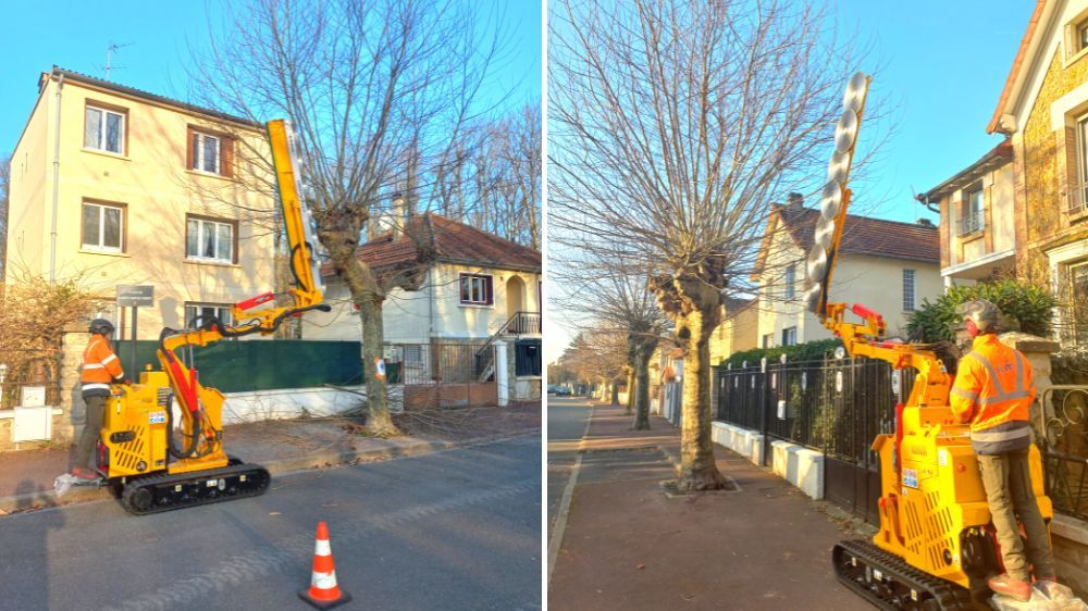 SEM - taille architecturée sur la ville de Fontenay.jpg