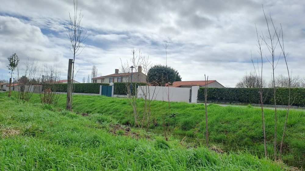 La Roche-sur-Yon - création d'espaces verts en vendée 2.jpg