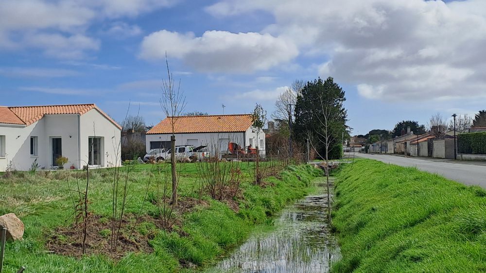 La Roche-sur-Yon - création d'espaces verts en vendée 3.jpg