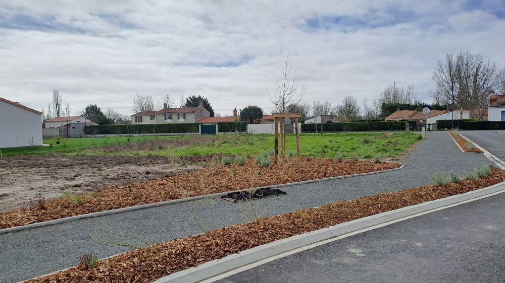 La Roche-sur-Yon - création d'espaces verts en vendée 5.jpg