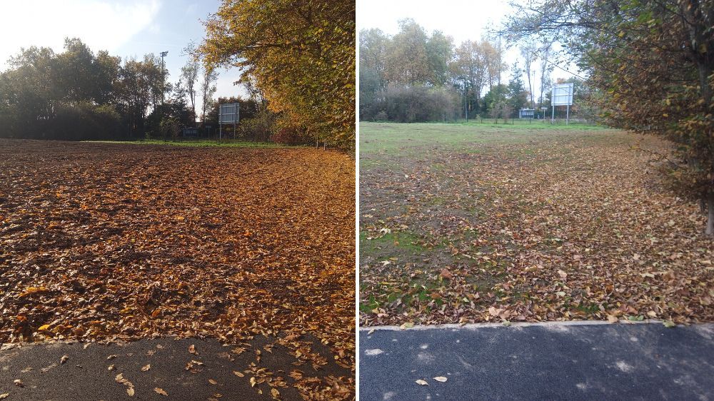 SEM - engazonnement d'une zone de travaux 2.jpg