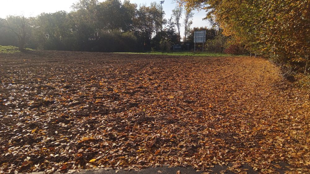 SEM - engazonnement d'une zone de travaux 4.jpg