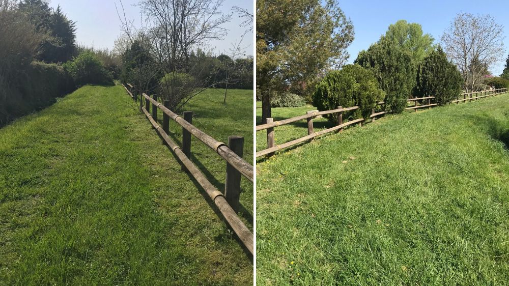 Nîmes - entretien des espaces verts 2.jpg