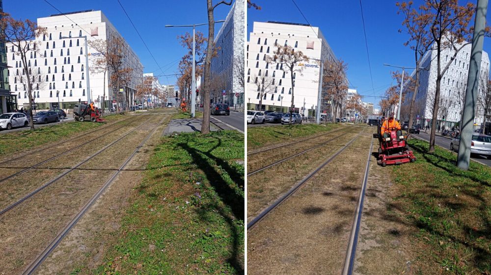 Aix-en-Provence - tonte du réseau tramway sur marseille.jpg