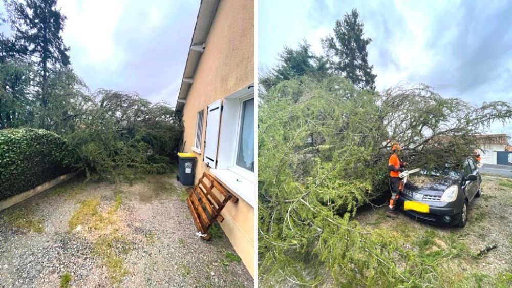 Démontage et évacuation d'arbre à Pompaire 2.jpg