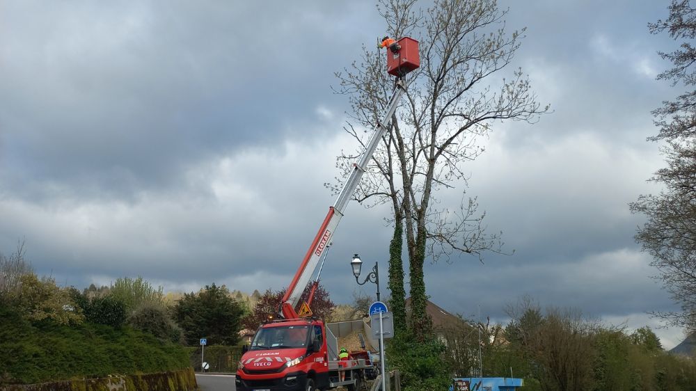 annecy - abattage d'arbres dangereux au bord d'une route communale 2.jpg