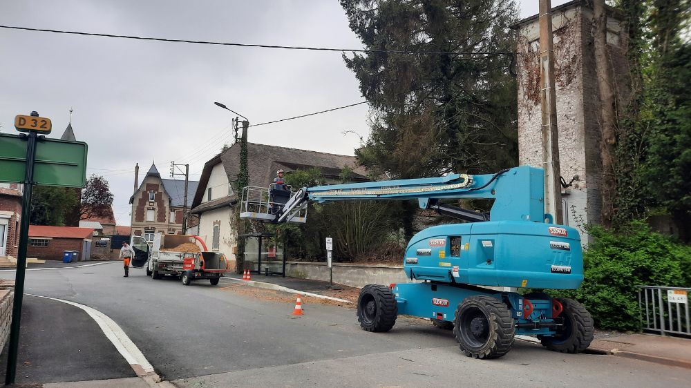 Lille - démontage d'un arbre pour des travaux d'aménagement  3.jpg