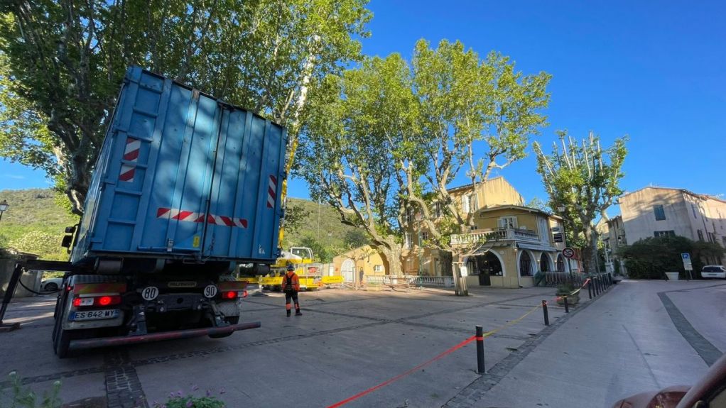 toulon - démontage de 2 platanes 3.jpg