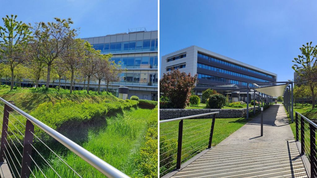 Sem - contrat d'entretien d'espaces verts à Chevilly-Larue 4.jpg