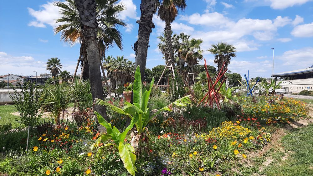 Montpellier - Aménagement paysager du rond point des près d'arènes 3.jpg